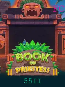 Explorando o Mundo Fascinante de BookOfPriestess: Regras e Estratégias